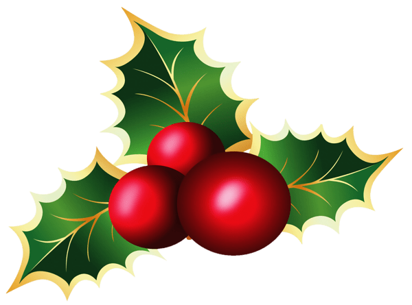 Mistletoe Close Up transparent PNG - StickPNG