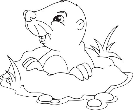 Mole Coloring Page Stock Clipart | Royalty-Free | FreeImages