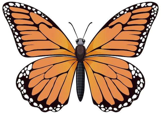 Monarch Clipart-Vektoren und -Illustrationen zum kostenlosen ...