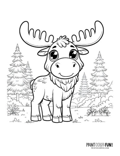 moose pictures to color