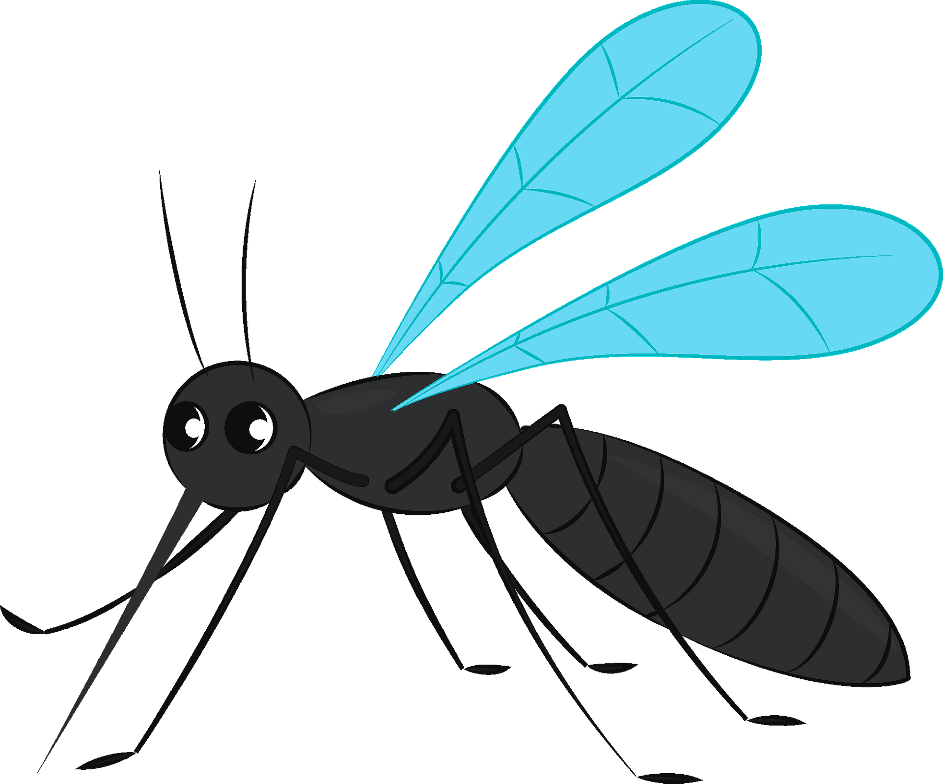 Moskito - Kostenlose Vektor-Clipart-Bilder auf clipart library.com