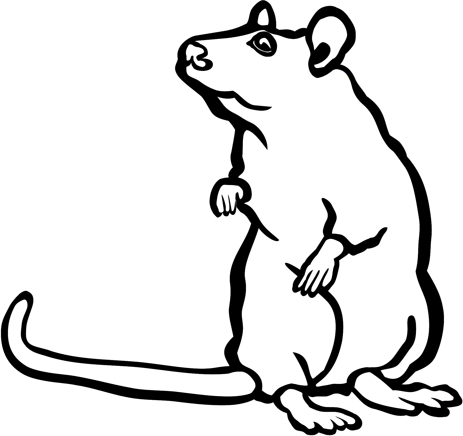 mouse black and white
