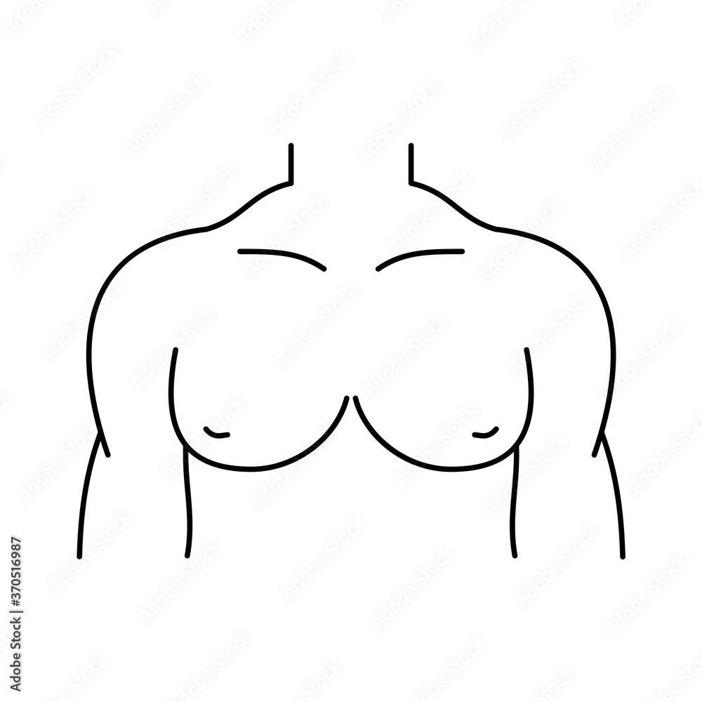 muscular chest cliparts