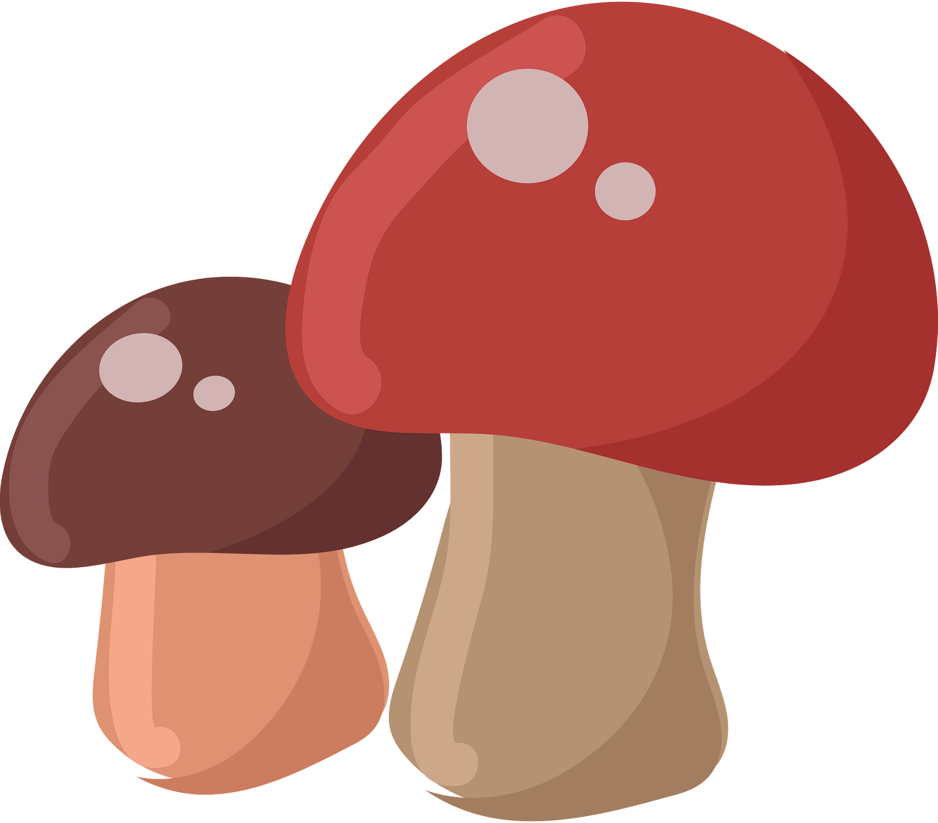 Mushrooms - Free vector clipart images on clipart library.com