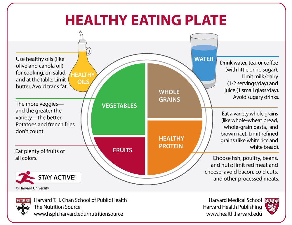 Comparison of the Healthy Eating Plate and the USDAs MyPlate ...