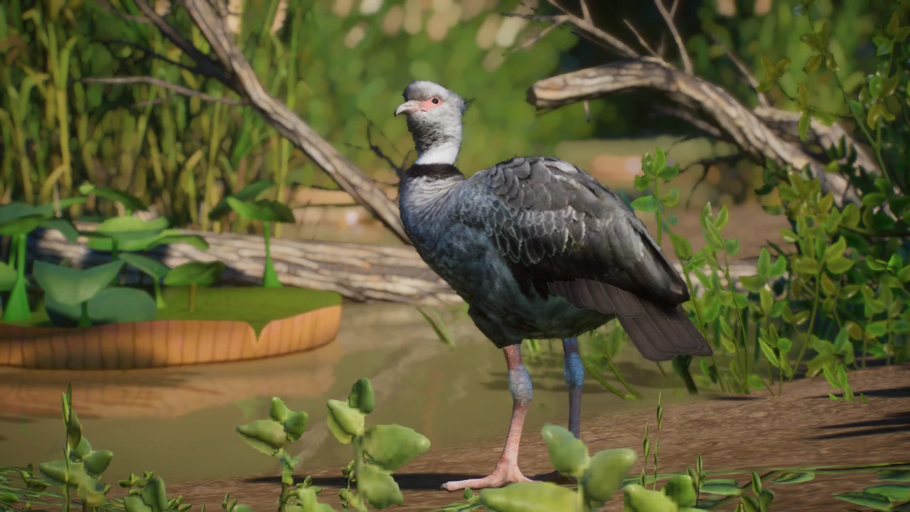 Southern Screamer (Narwhaler) | Planet Zoo Modding Library Wiki ...