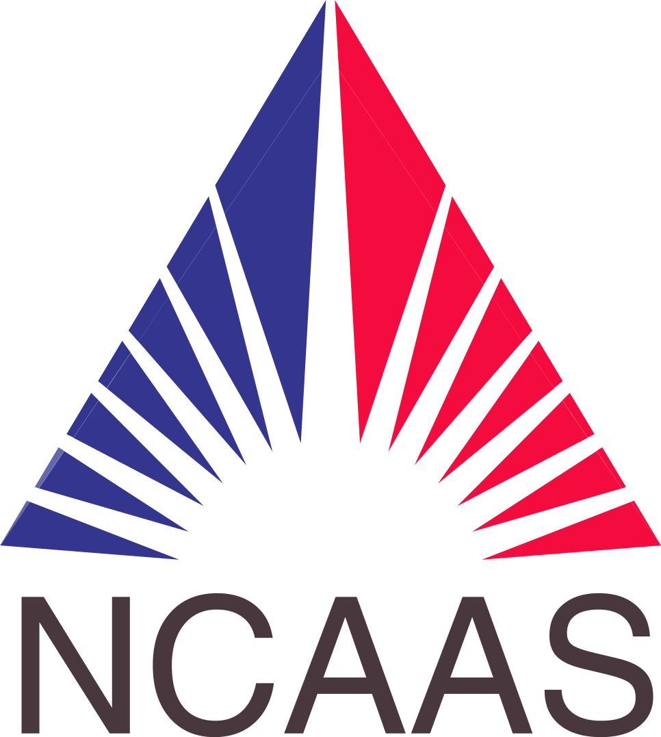National Coalition for Access to Autism Services | NCAAS