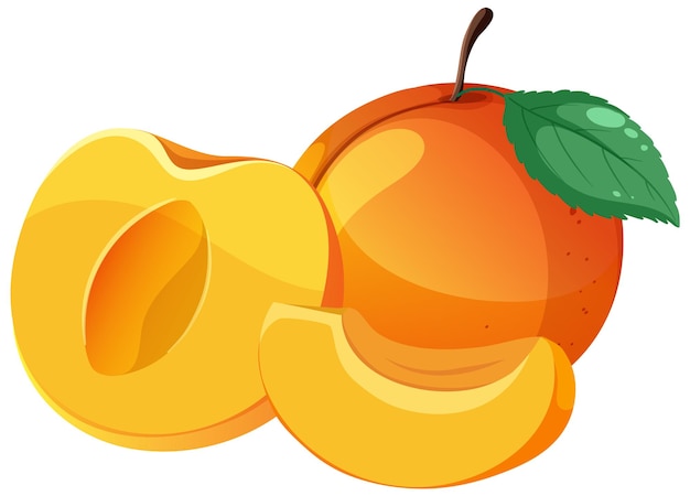 nectarines cliparts 2024