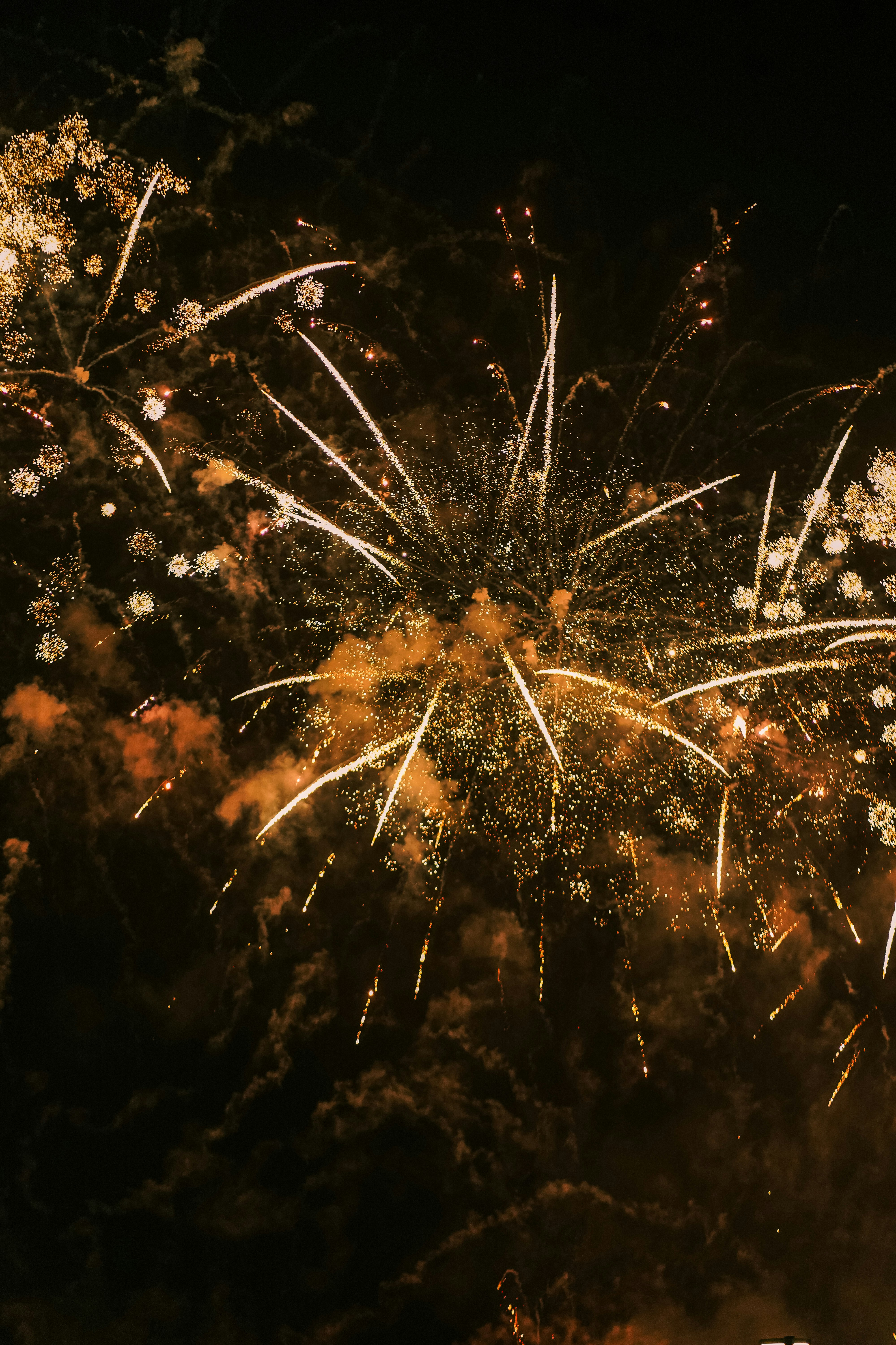 new year celebration pictures