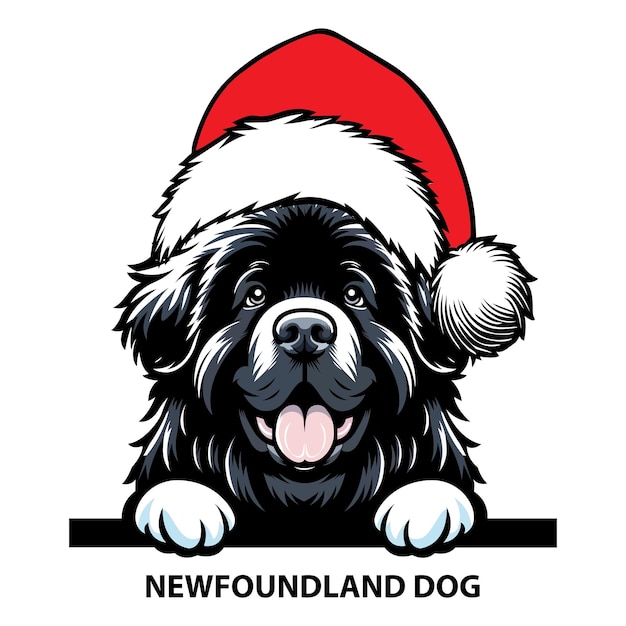 newfoundland puppy cliparts 2024