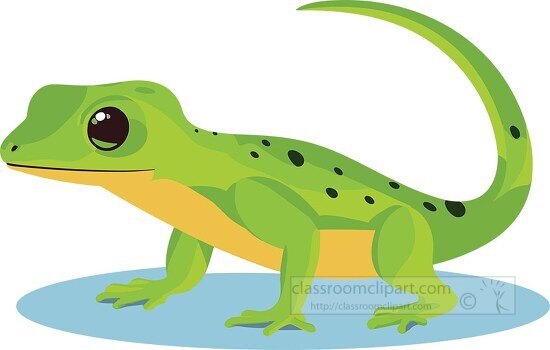 newt clipart