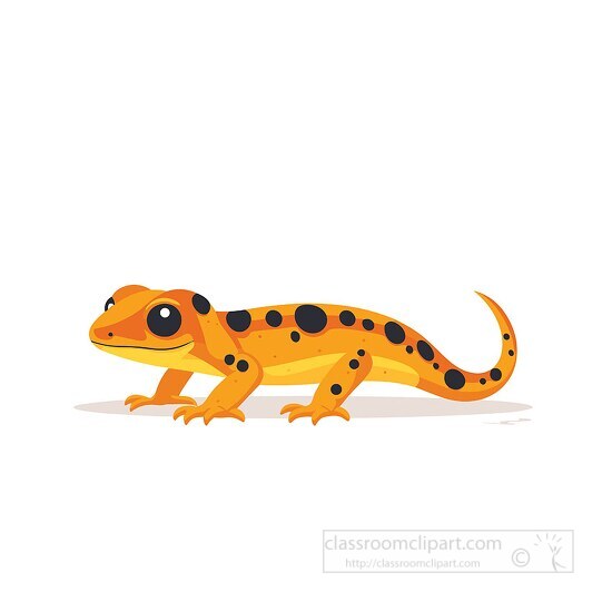 newt clipart