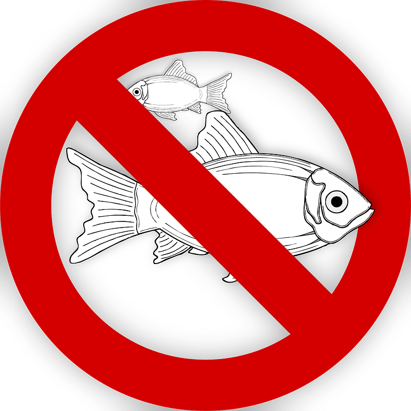 Fish - Free vector clipart images on clipart library.com