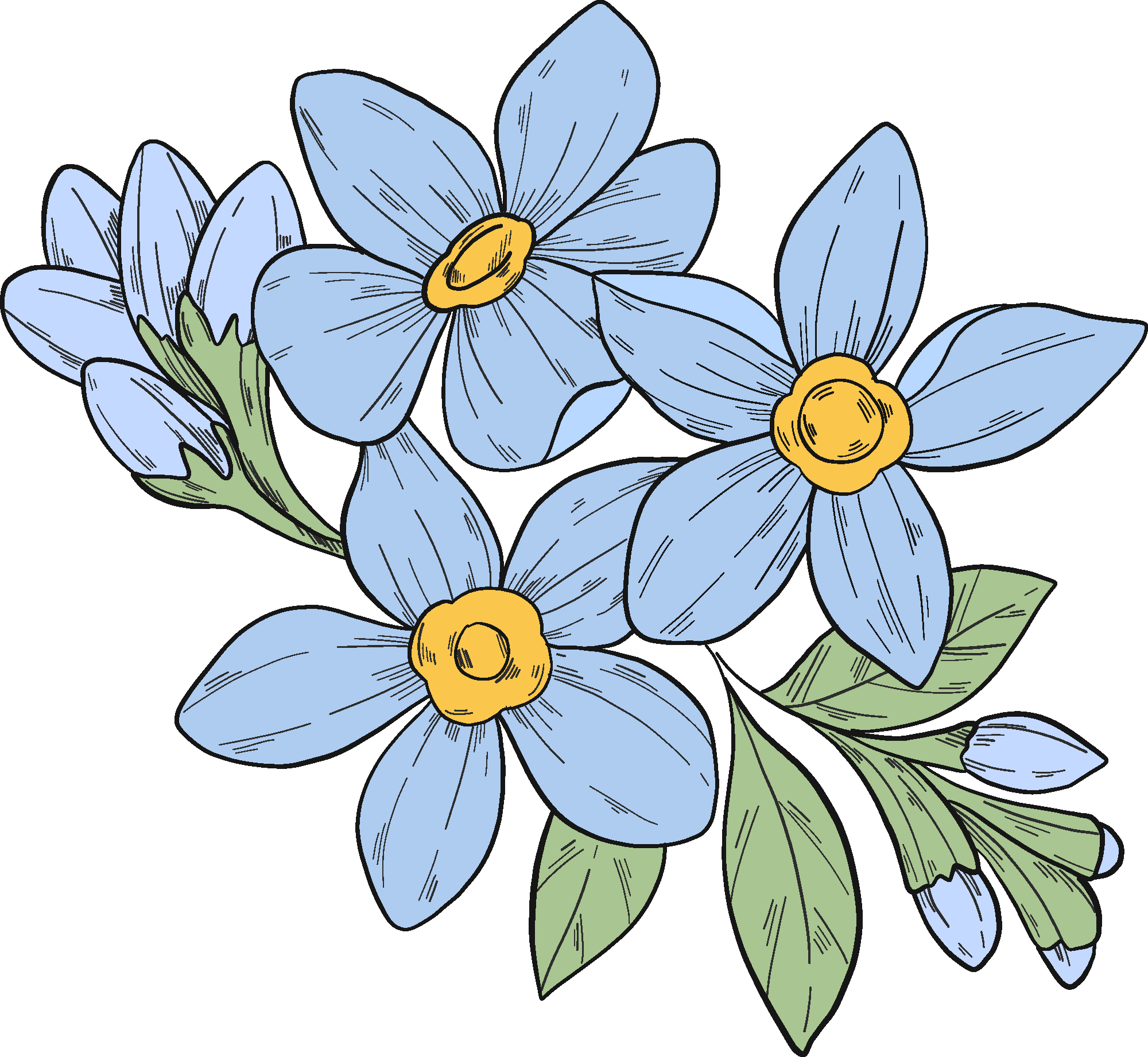 no flowers cliparts