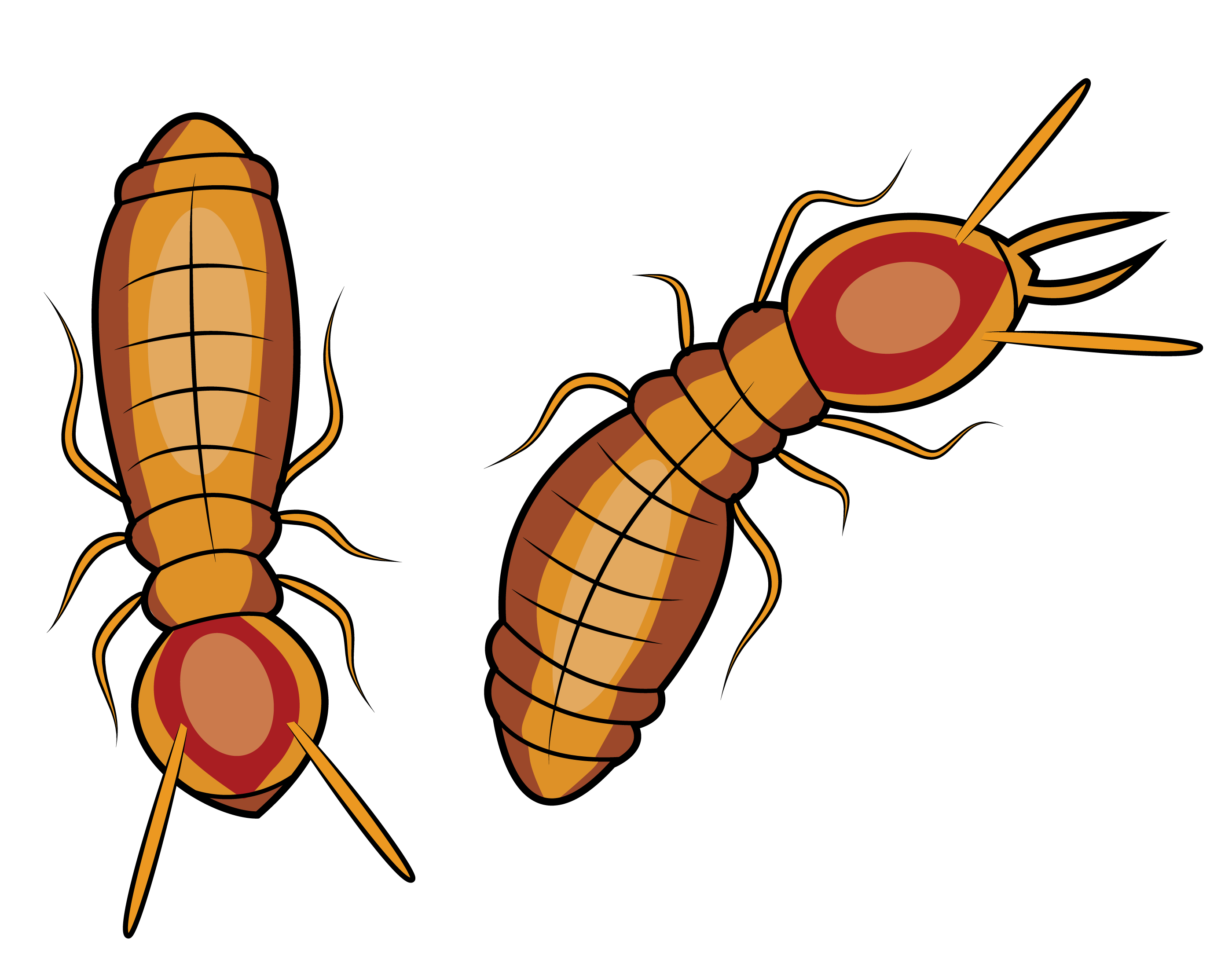 100+ Free Termite Clipart Images