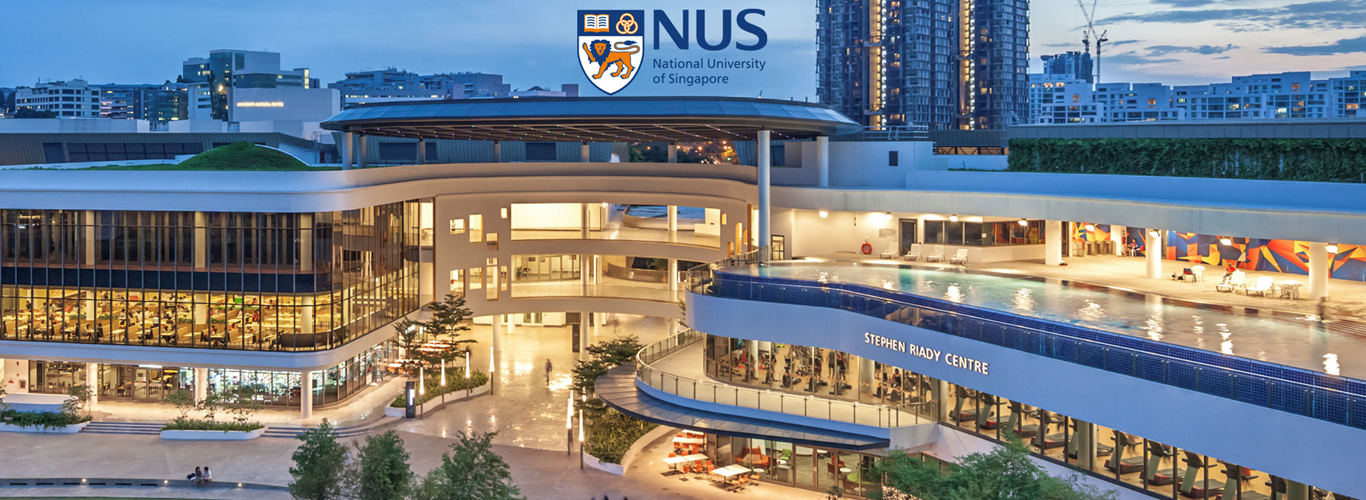 National University of Singapore - McDonnell International ...