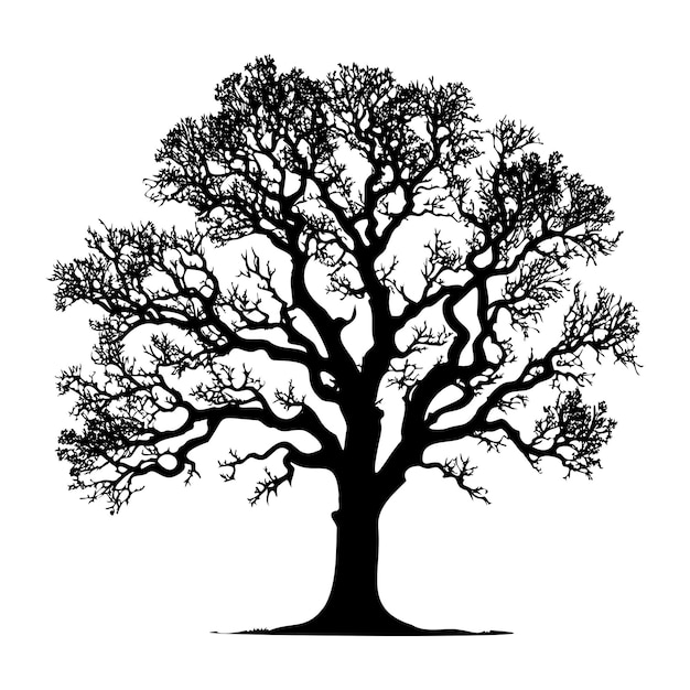 oak tree silhouette