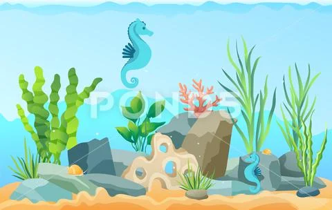 Ocean bottom, seabed with marine plants and animals. Underwater ...