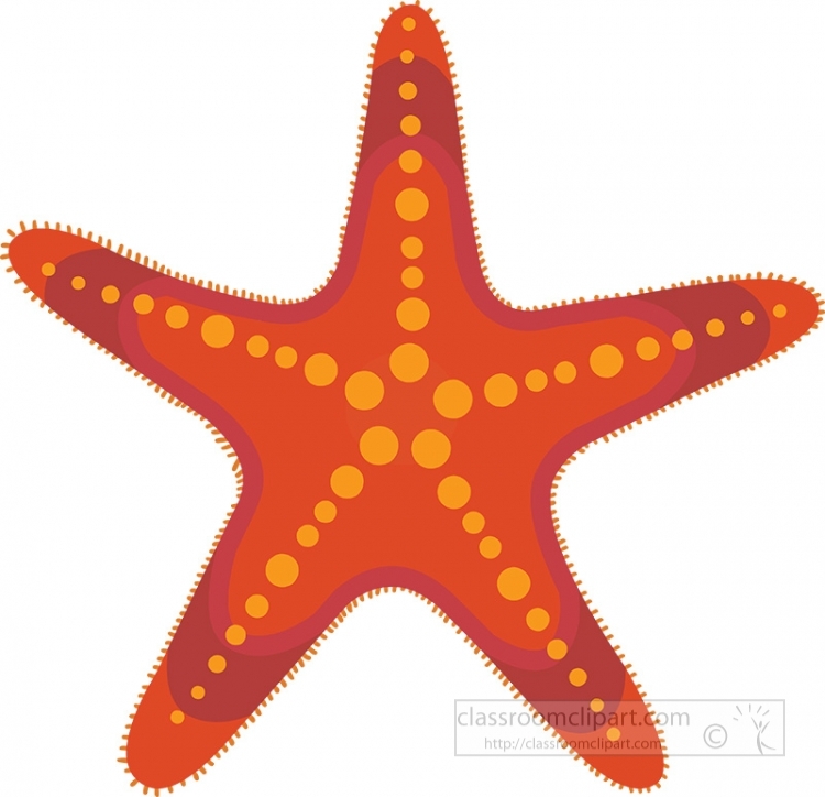 ocean starfish cliparts 2024