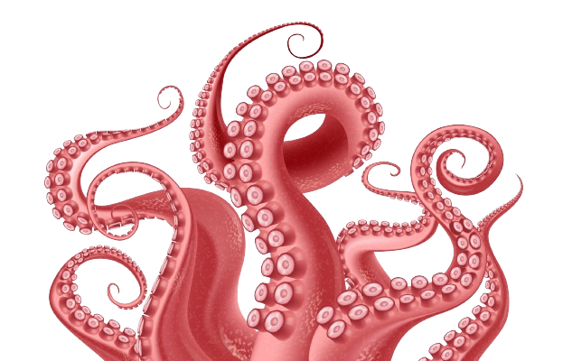 octopus drawing cliparts 2024