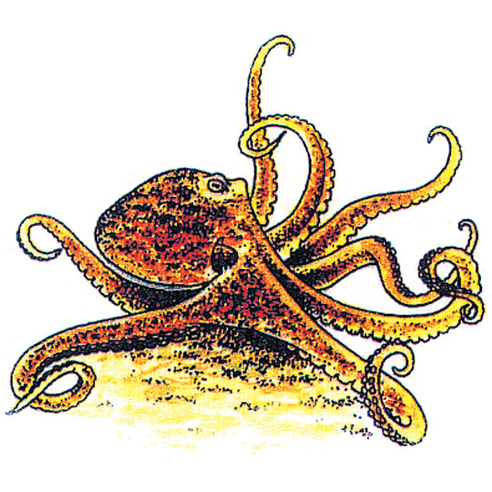 Octopus Rubber Stamp