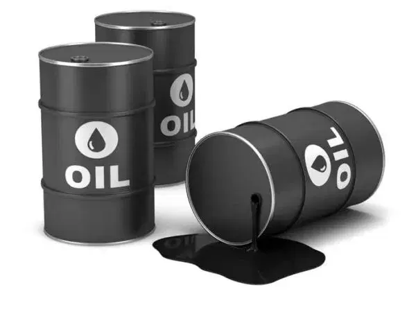 2024 bid round: NUPRC offers 12 oil blocks to investors - Vanguard ...