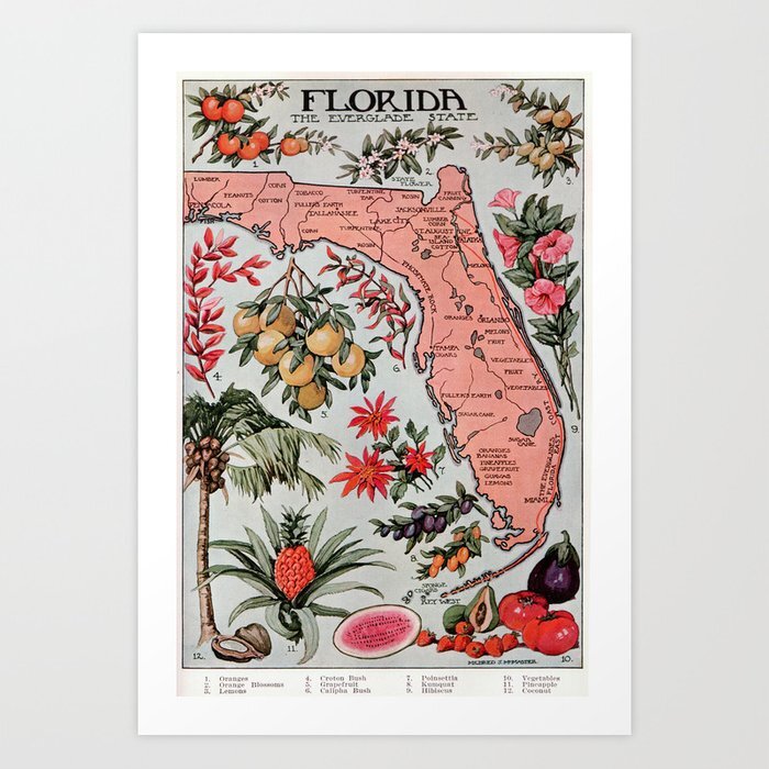 old florida cliparts