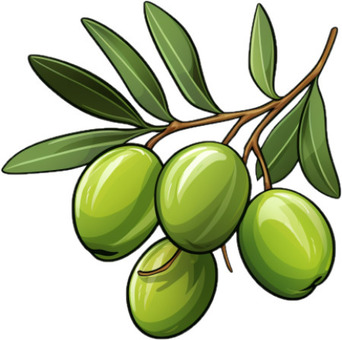 Free Vectors | olive