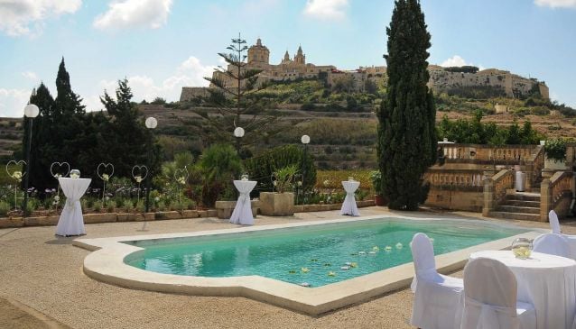 Olive Gardens in Malta