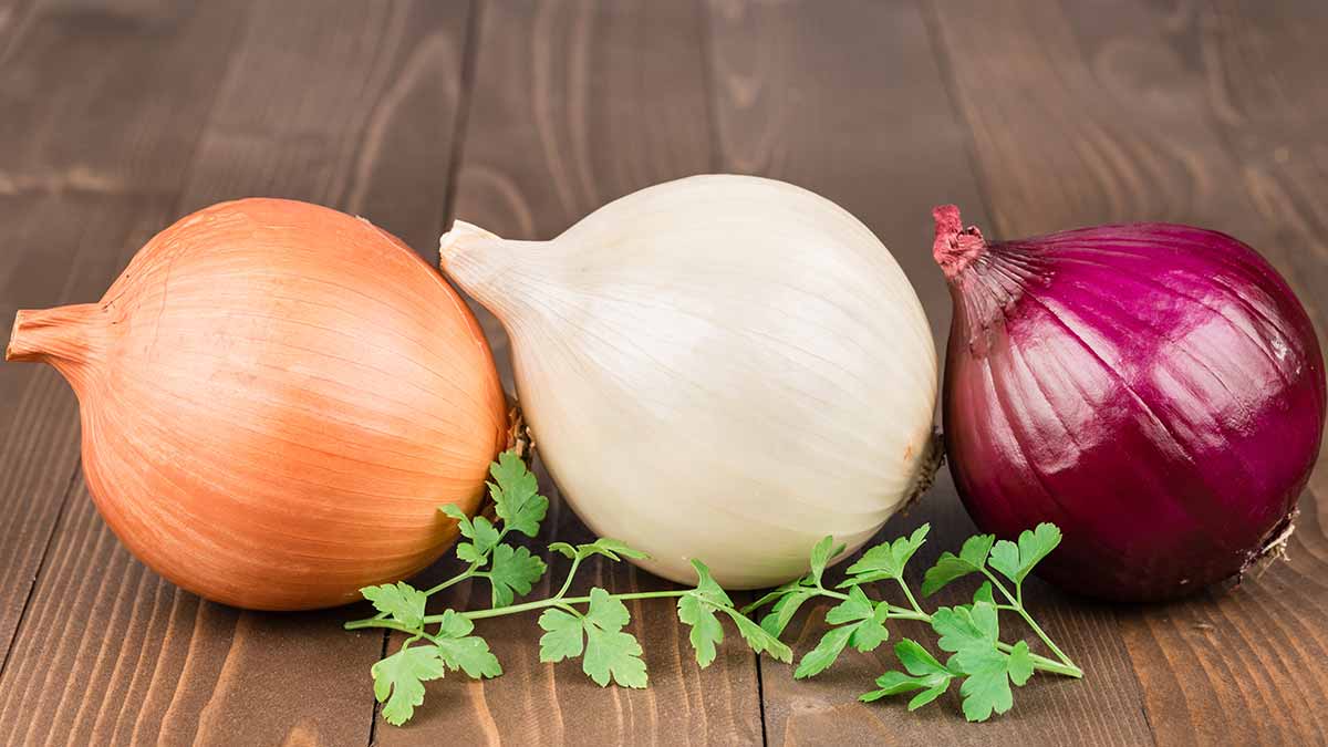 Whats in Season? Dry Onions - Canadian Food Focus