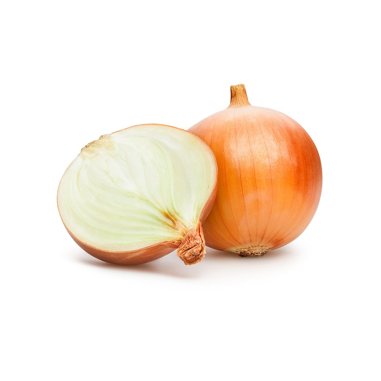 Onion | Veggycation