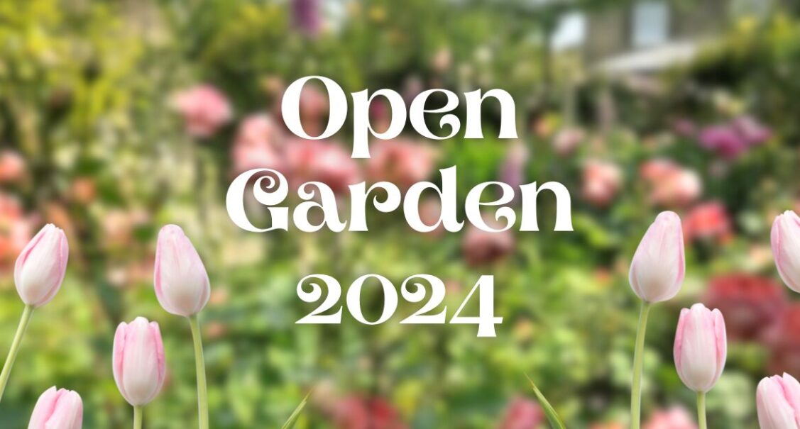 open garden cliparts 2024