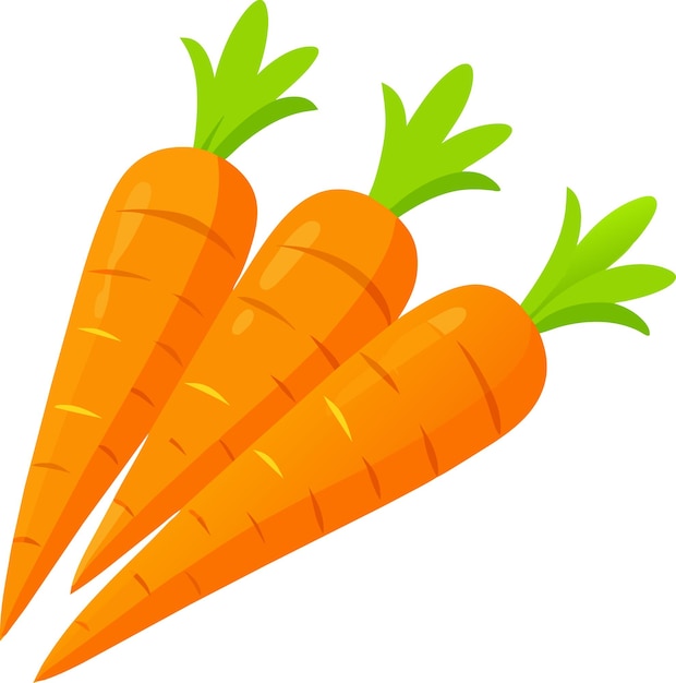 orange carrot cliparts 2024