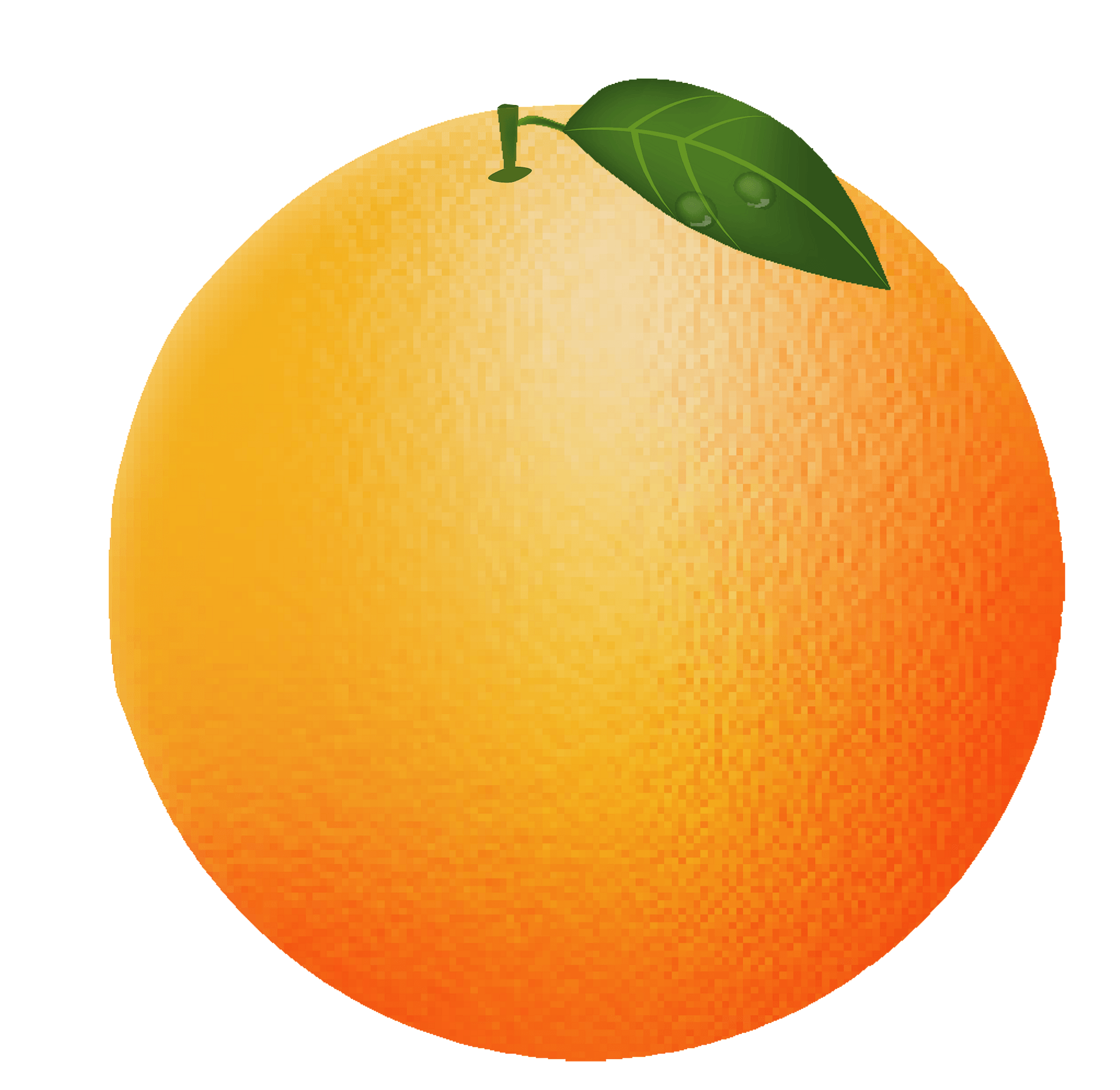 Free Orange Cliparts Download Free Orange Cliparts Png Images Free 