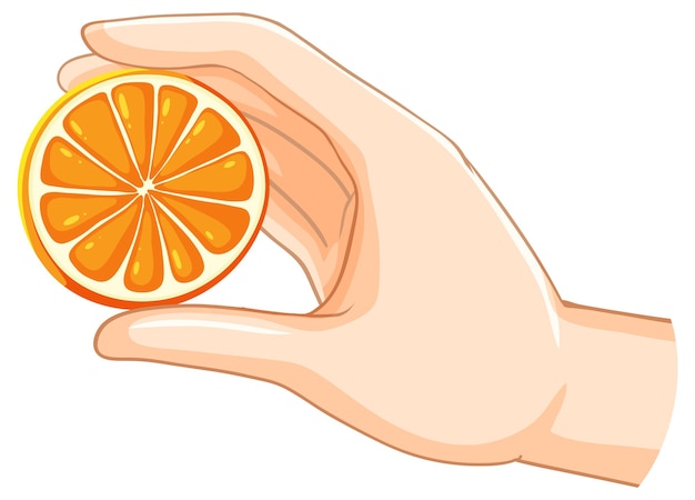 orange hand cliparts 2024