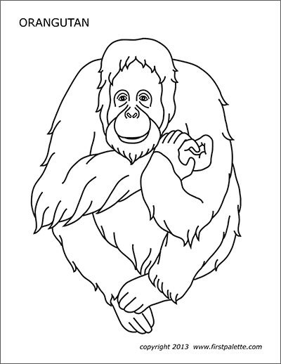 orangutan coloring pages