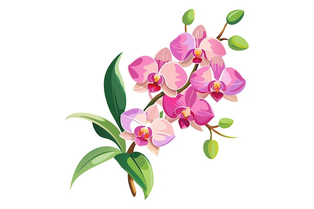 Purple Orchid Branch - Free vector clipart images on clipart library.com