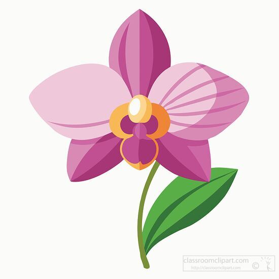 Flower Clipart-Phalaenopsis purple orchid