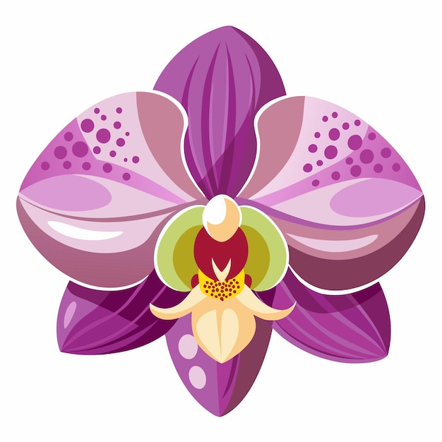 Orchid Clipart Images - Free Download on clipart library