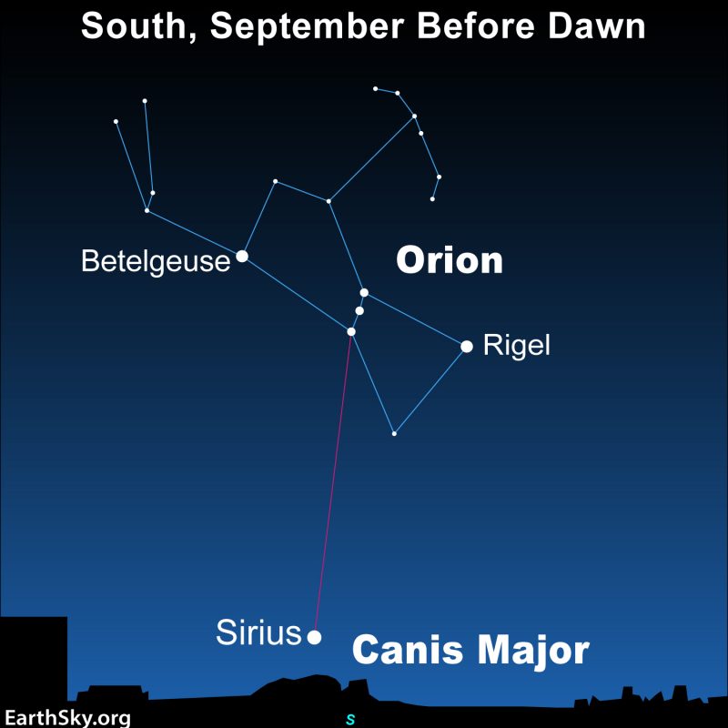 Orions Belt points to Sirius on September mornings