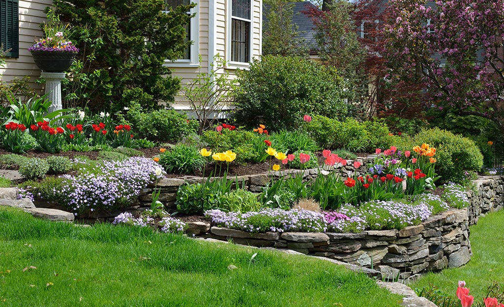 Summer Outdoor Gardening 101 - The Home Depot
