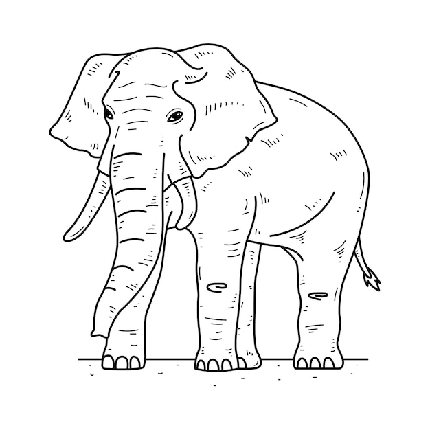 outline of a elephant