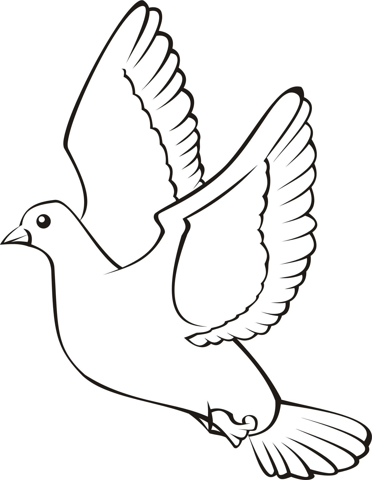 outline of bird