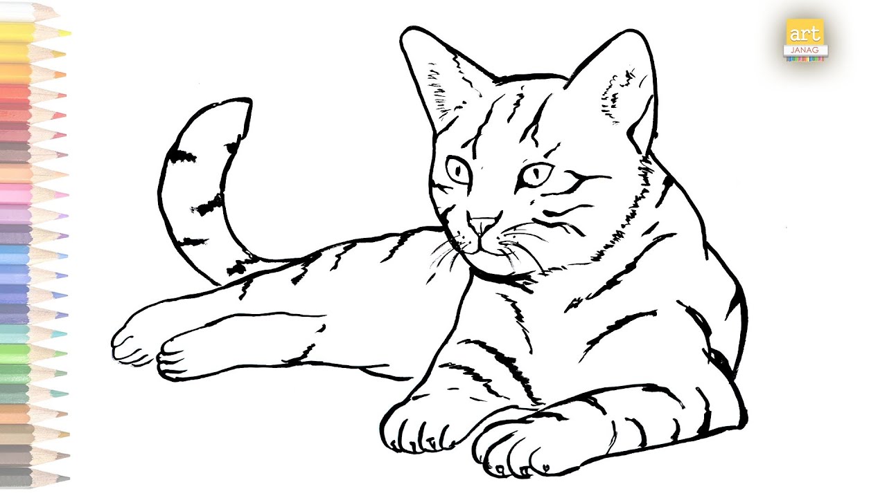 outline of cat