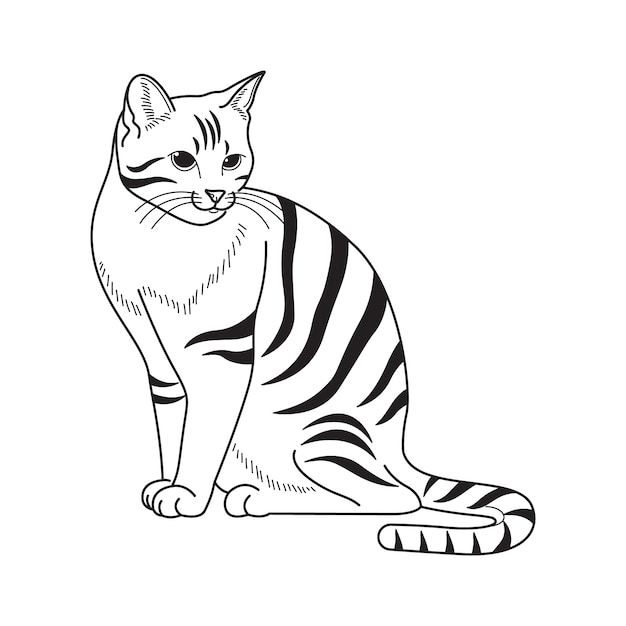 outline of cat