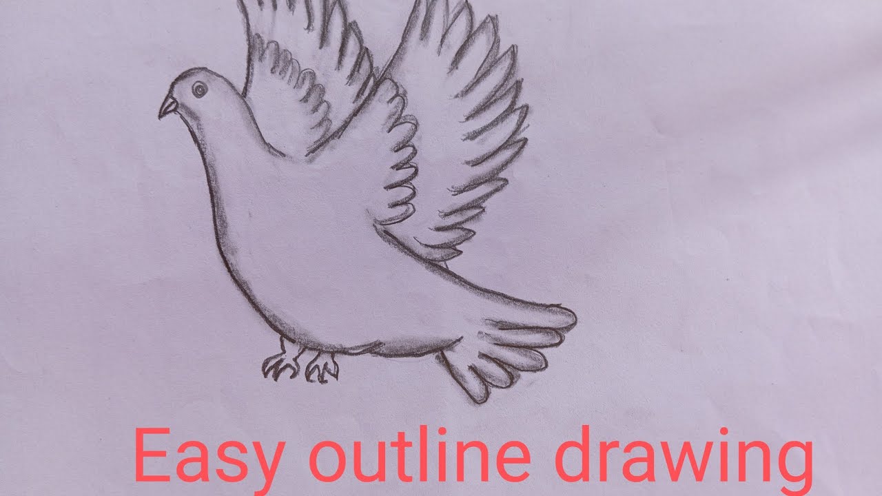 outline of dove