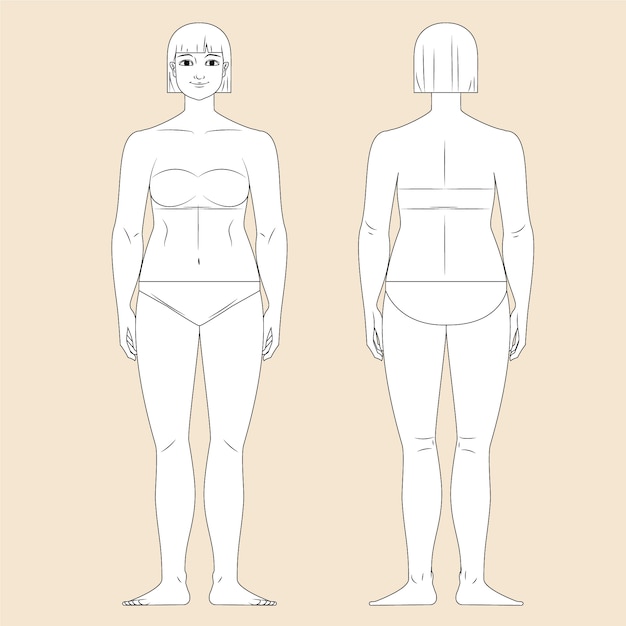 outline of female body