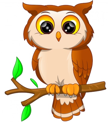Premium Vector | Cartoon owl bird