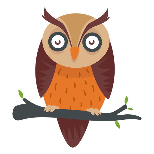 owl cartoon png
