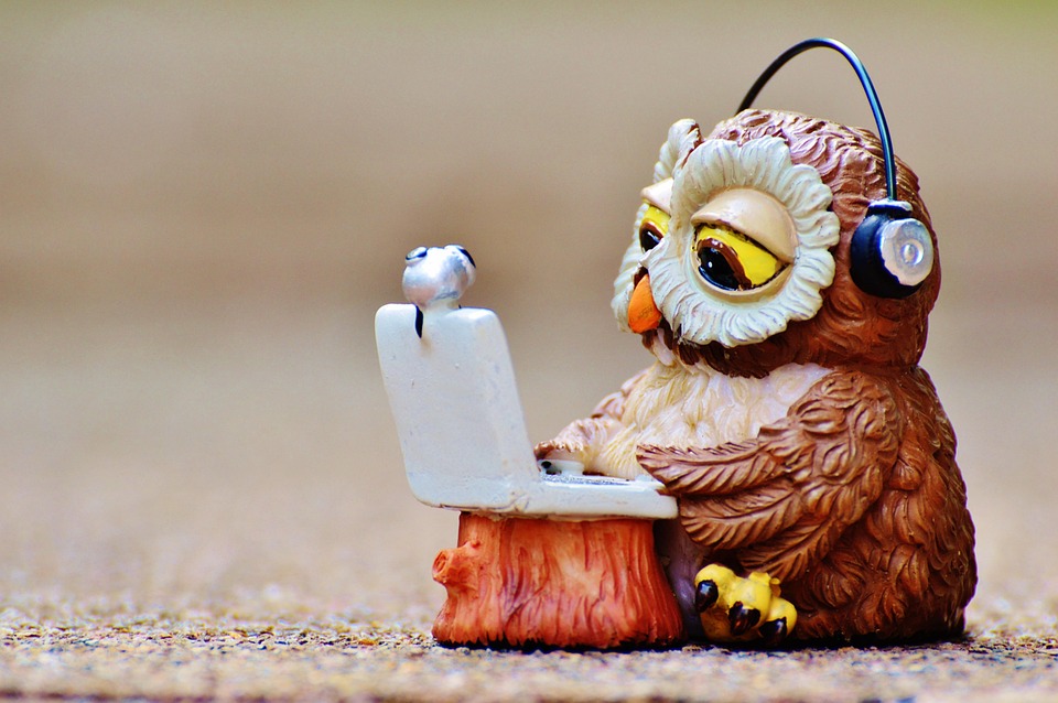Owl Computer Headphones - Free photo on Pixabay